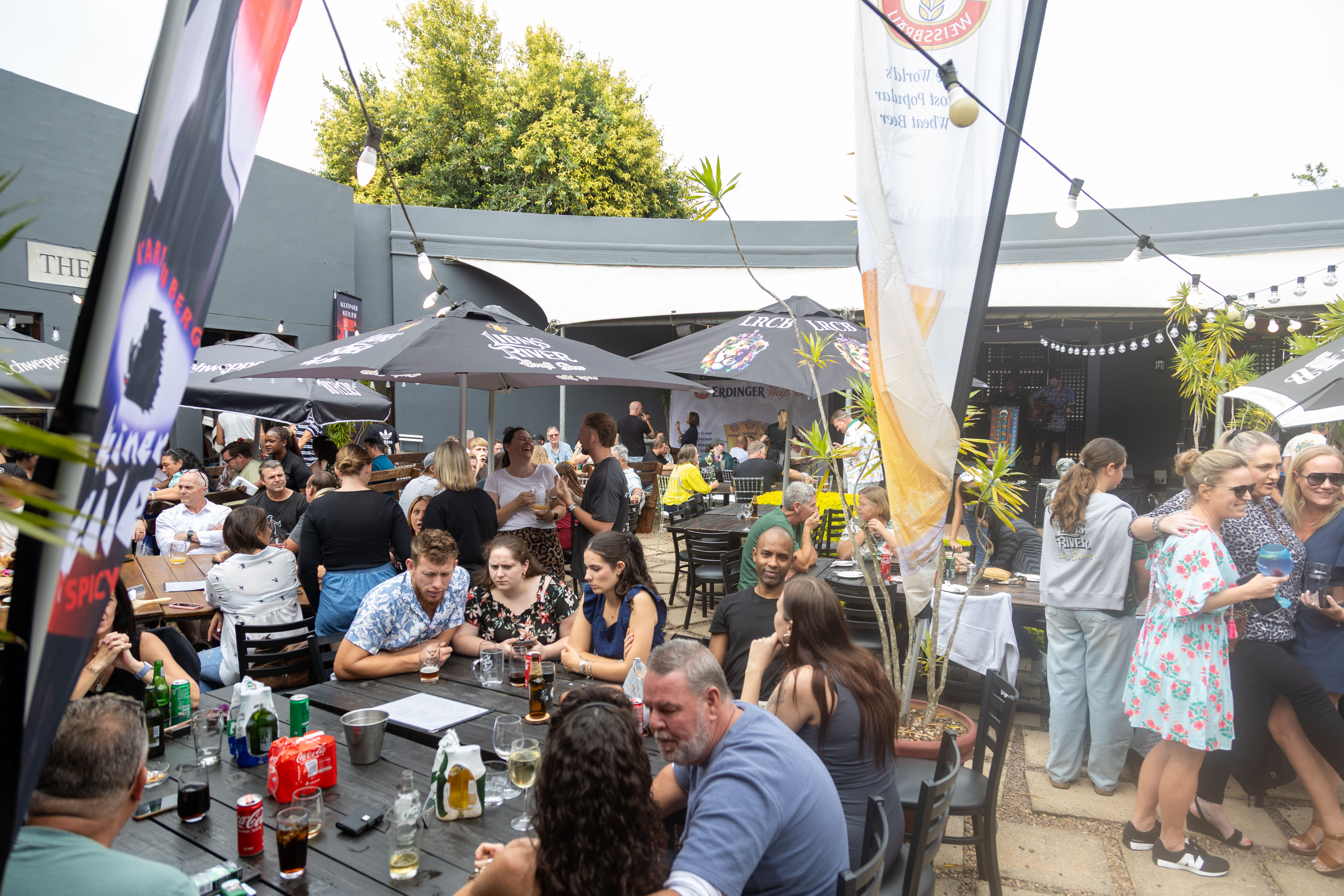 Taps on Twenty4 gallery image